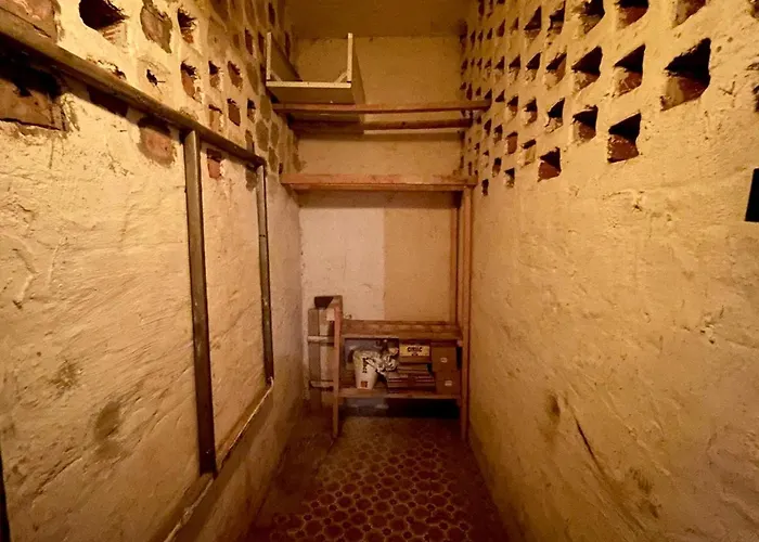 Balaton * קסזטלי